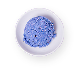 Vanilla Ice Cream
